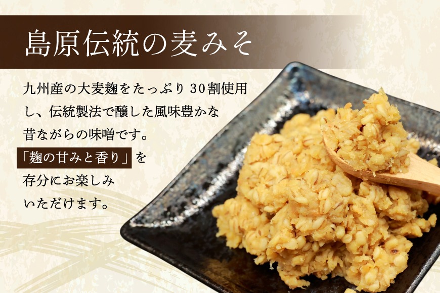 BI231 昔ながらの 無添加 みそ「おろろんみそ」800g 1個 [ 味噌 国産 麦味噌 マルイチ 塚原食品本舗 長崎県 島原市 ]