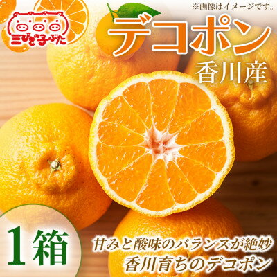 【ふるさと納税】【ジューシーで甘い】香川県産デコポンを旬の味覚として楽しむ　デコポン　1箱【1727334】