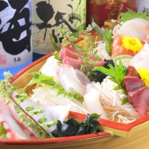 食事券 居酒屋さざん ｜ 海 食事処 3000円分 【 神奈川県 海老名市 】