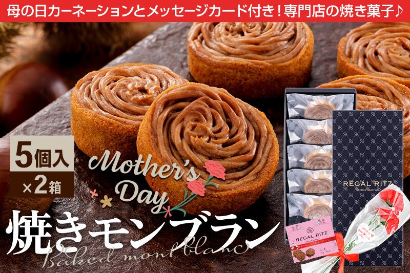 《母の日ギフトセット》レガールリッツ 焼きモンブラン 5個×2箱 紙袋付き・ギフト箱入り／造花カーネーション付き [REGAL RITZ マロンクリーム 常温 ケーキ タルト 焼き菓子 焼きモンブラン 焼モンブラン お取り寄せ スイーツ スウィーツ]|02_psk-041001aa