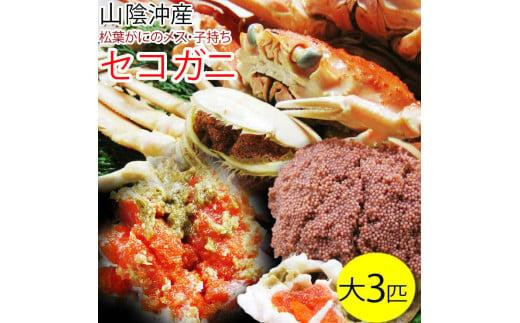 
            セコガニ 訳あり (茹で) 大 3枚セット 鳥取県産【フォーシーズン】
          