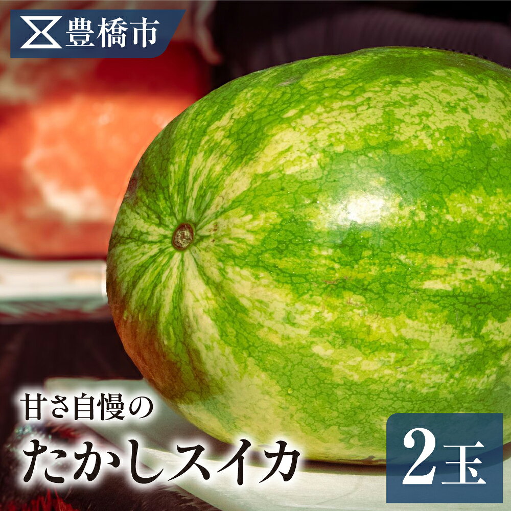 【ふるさと納税】《先行予約》豊橋市産 たかしすいか 2玉（計15kg）産地直送 スイカ 銀河 縞無双 羅王