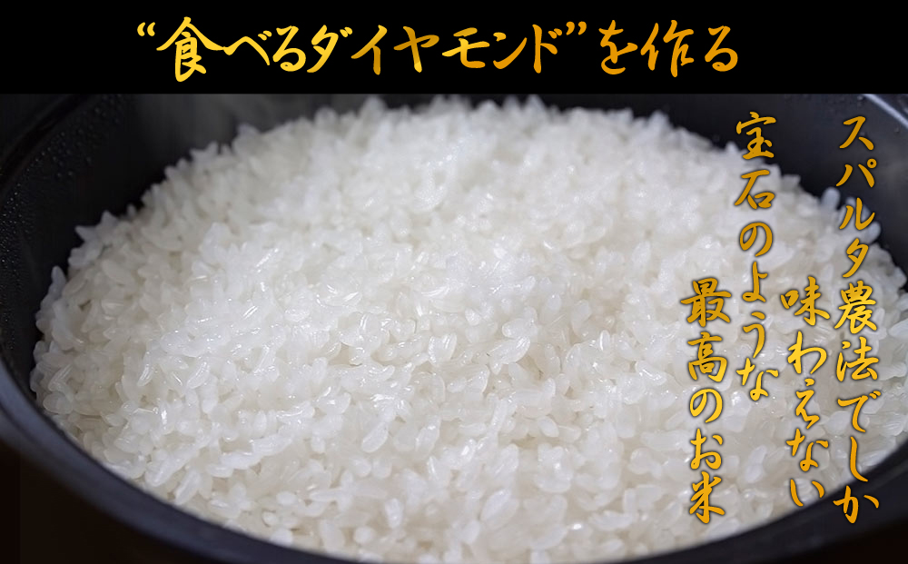 極美純米と黄金純米セット 2kg×2 お米 コンテスト 優秀金賞 ぴかまる ミルキークイーン 人気 美味しい こだわり 減農薬 貴重 白ご飯 セット 食べ比べ 熊本 阿蘇