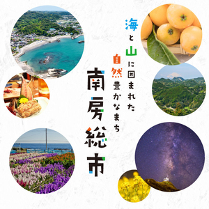【2025年度産】【新米】千葉県産粒すけ 白米 5kg mi0068-0006