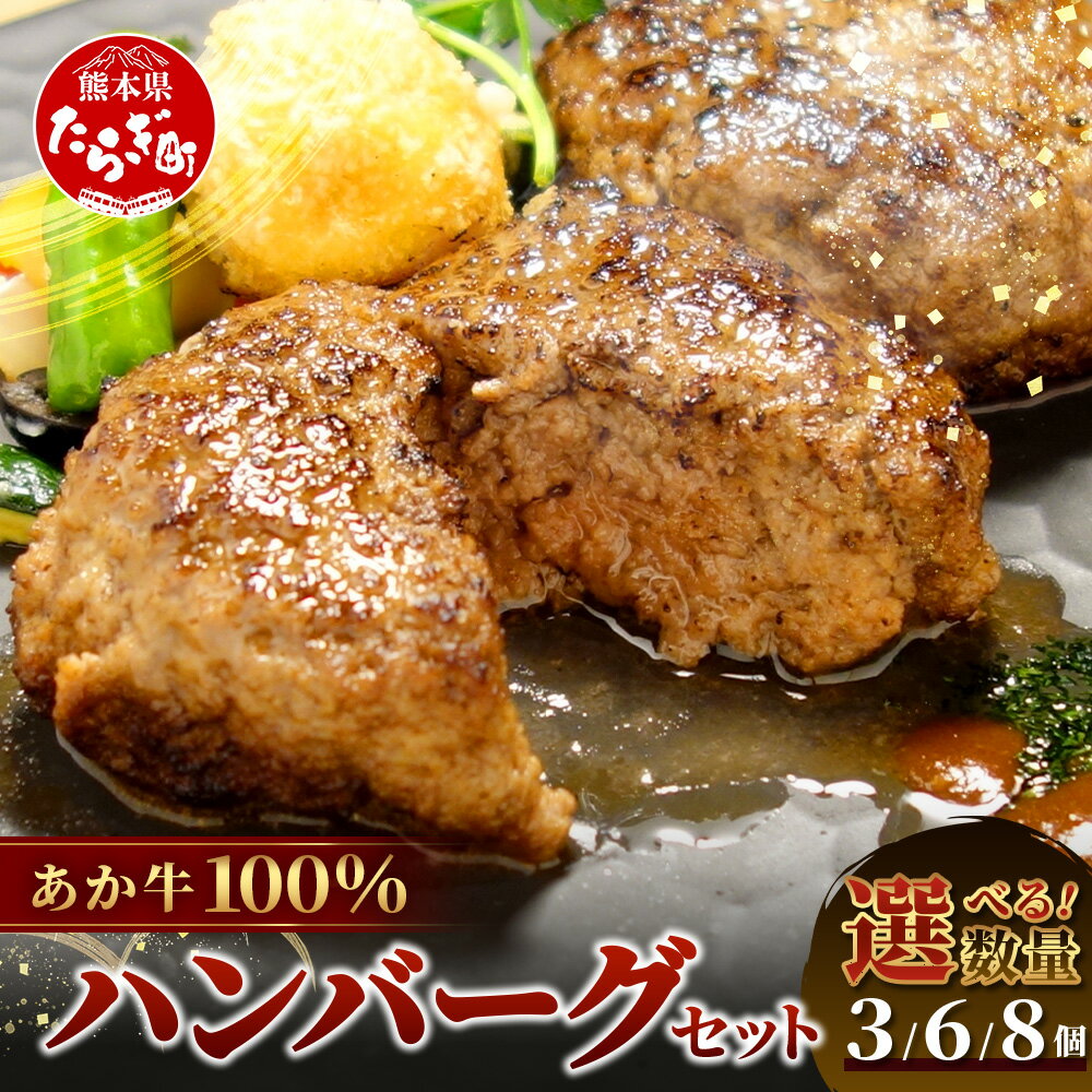 【ふるさと納税】熊本県産 あか牛 100％ ハンバーグ 120g× 3個/ 6個 / 8個 (個数 選べる) 本場 くまもと あか牛 冷凍 牛肉 赤牛 肉 熊本産 国産 和牛 ハンバーグ 熊本 惣菜 お弁当 個包装 小分け ビーフ ハンバーグ 360g 720g 960g 冷凍 送料無料