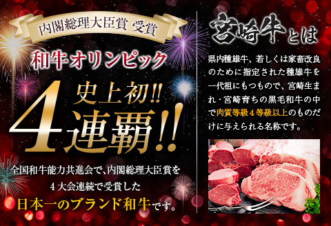 【令和7年6月から毎月配送】5か月定期便 月替わりで堪能!! 牛肉 豚肉 焼肉 セット 豚バラ 肩ロース モモ ウデ 総重量5.6kg 国産 食品 おかず BBQ バーベキュー 小分け 宮崎牛 黒毛和