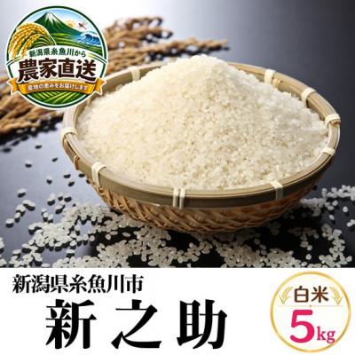 ふるさと納税 糸魚川市 【令和8年産】新之助　5kg　白米　新潟県糸魚川市能生谷産