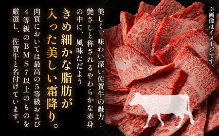 訳あり！艶さし！【A4～A5】佐賀牛しゃぶしゃぶすき焼き750gセット						