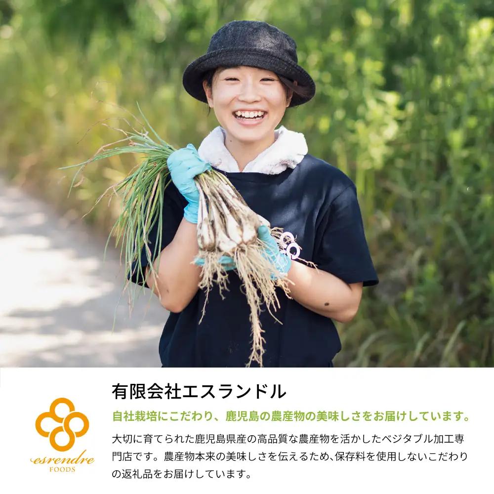 鹿児島県産 白宝らっきょう（90g×10P）