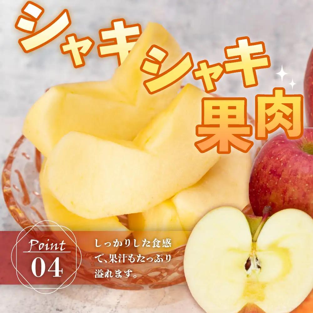 【先行予約】 令和8年産 りんご ＆ ラ・フランス セット 各 約2kg