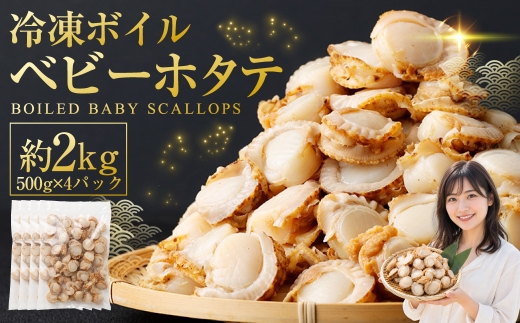 【 7日程度で発送 】 冷凍ボイルベビーホタテ 2kg （ 500g × 4P ） ホタテ 帆立 ボイルホタテ ボイル 海鮮 魚介 魚介類 貝類 貝 鮮度 サラダ フライ バター焼き おかず 国産 北海道産 冷凍