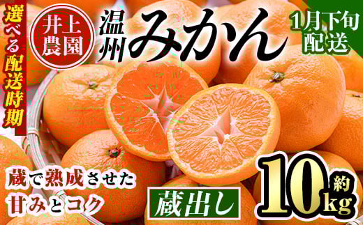 ＜1月下旬より順次発送予定＞大分県宇佐市産 蔵出し みかん(約10kg)ミカン 蜜柑 柑橘 フルーツ 果物 くだもの 果実 国産 熟成【103690200】【井上農園】