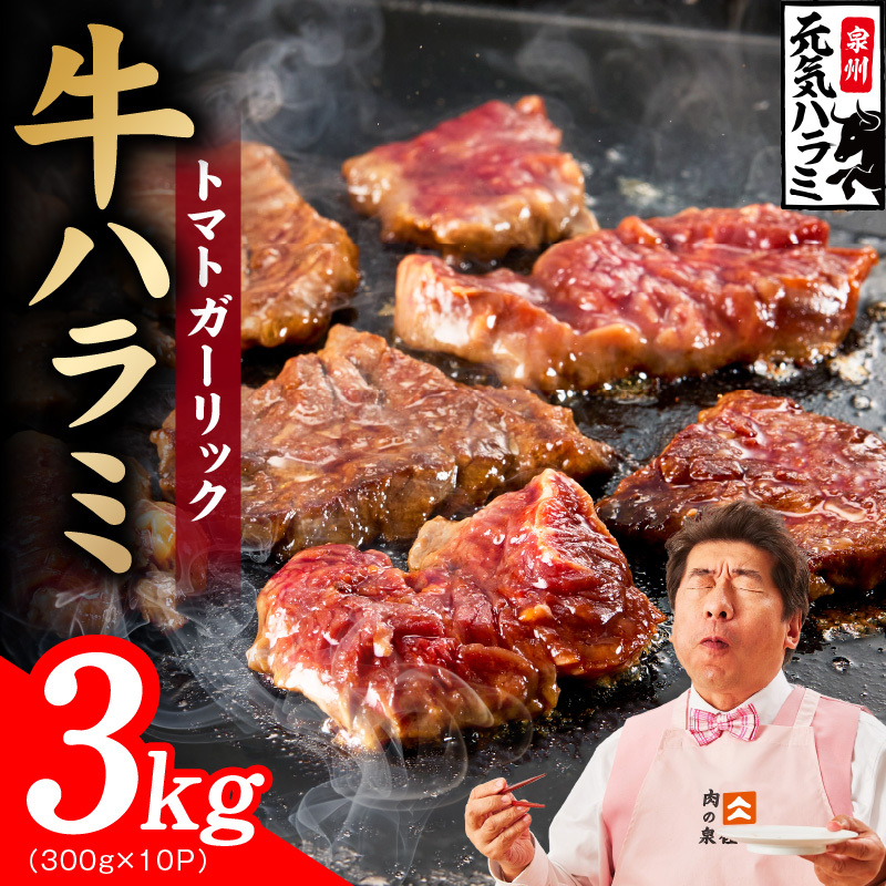 【新登場】トマトガーリック 牛ハラミ肉 3kg（300g×10P）【牛肉 はらみ 小分け 焼肉 お弁当 BBQ 訳あり ワケアリ わけあり サイズ不揃い 規格外 TVで話題】 G4694