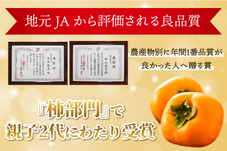 【先行予約】 越前柿 24個入 約4kg（M～2L）≪JA受賞歴親子２代≫ ／ 果物 フルーツ 柿 産地直送 期間限定 あわら ※2024年11月上旬より順次発送