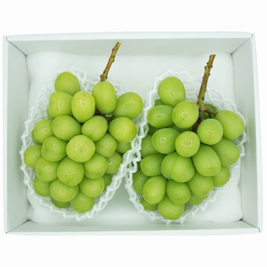 シャインマスカット