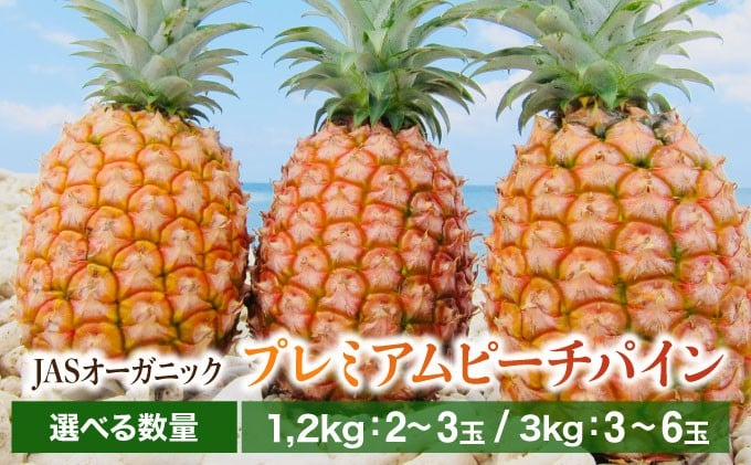
            ＜選べる容量＞【JASオーガニック】プレミアムピーチパイン 約1.2kg〜3kg　2～6玉
          