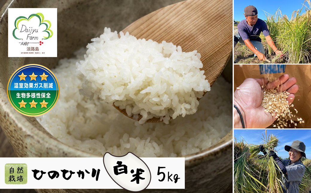 
                  自然栽培　ひのひかり（白米）　5kg
                