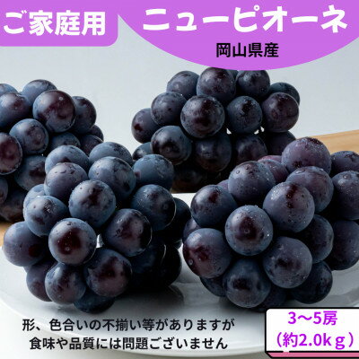 【ふるさと納税】【先行予約】ご家庭用 ニューピオーネ 約2.0kg(3～5房)【配送不可地域：離島】【1614296】