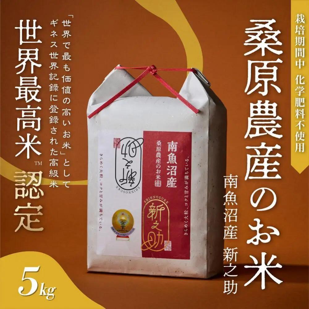 【R7年】ギネス世界記録「世界最高米」認定 最高級南魚沼産新之助5kg 桑原農産のお米 | 新之助