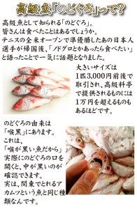 下関産のどぐろ干物 6尾 のどぐろ AU