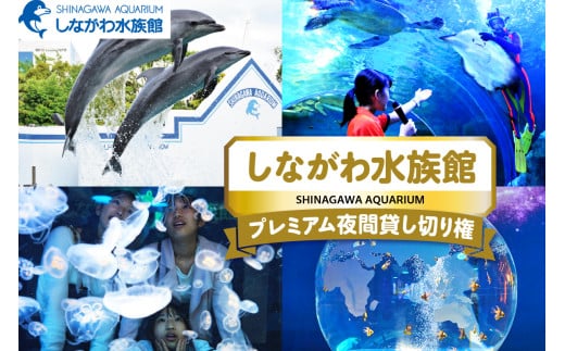 しながわ水族館プレミアム夜間貸し切り権