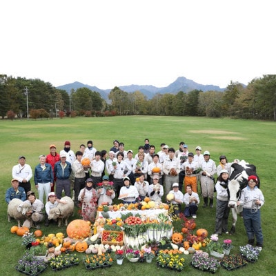 【先行予約】メロンのように甘い 生とうもろこし 10本　「味来」「サニーショコラ」【配送不可地域：離島】