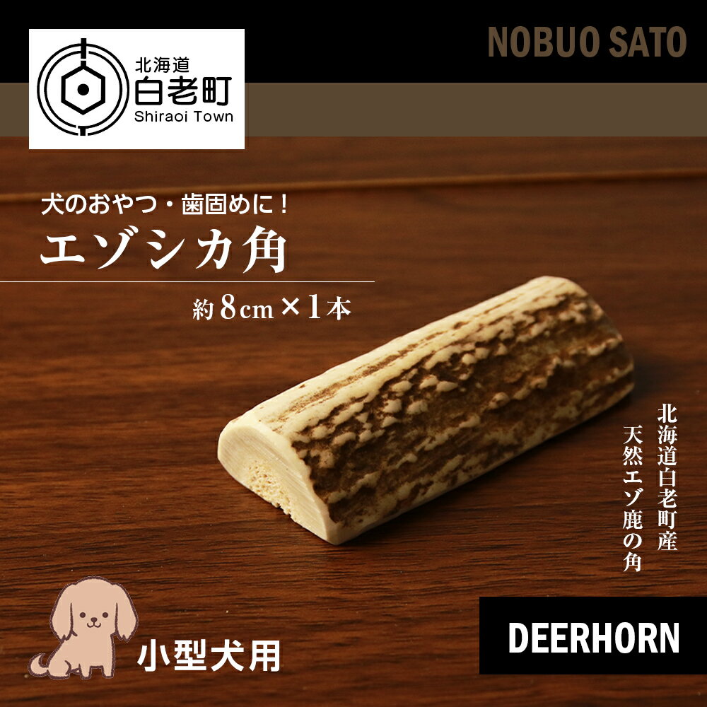 犬のおやつ・歯固めに！エゾシカ角 約8cm×1本（小型犬用）犬 ペット 小型犬 おもちゃ おやつ 歯固め エゾシカ ドッグガム 北海道 北海道ふるさと納税 白老 ふるさと納税 北海道