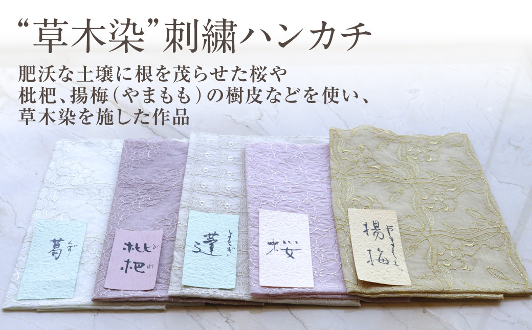 
草木染 刺繍 ハンカチ 【葛、枇杷、揚梅（やまもも）、蓬、桜】
