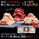 【ふるさと納税】印南町オリジナル熟成タレ漬けBBQセット 1.25kg【BBQ・焼肉用】 | お肉 にく 食品 和歌山県産 人気 おすすめ 送料無料 ギフト セット