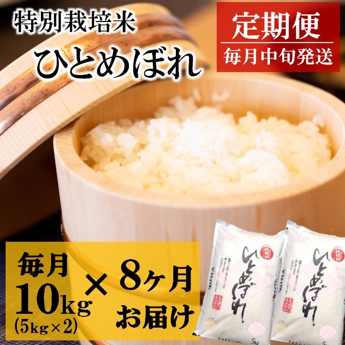 
                  10月スタート【定期便8回】竹原田ファームの特別栽培米ひとめぼれ10kg（5kg×2袋）×8回
                