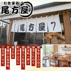 y491《定期便・全3回》国産！うなぎ白焼き(2尾×3回・タレ付き) 国産 九州産 鰻 ウナギ 有頭 魚 魚介類 かばやき 蒲焼 蒲焼き しろやき 白焼 おかず 特産品 お土産 ギフト プレゼント 冷