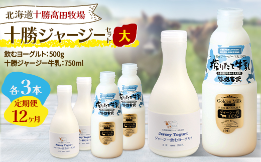 【毎月定期便】十勝ジャージー大 各3本 飲むヨーグルト500g牛乳750ml SKM069 全12回【配送不可地域：離島】