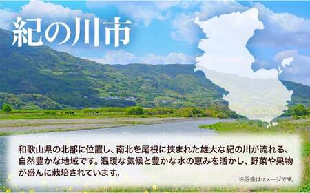 無洗米 米 5kg お米 無洗米 5キロ 紀の川応援米