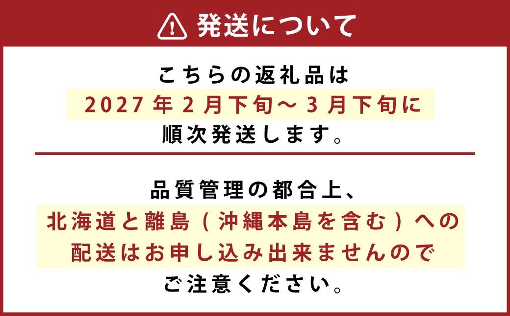 化粧箱入り ベリーツ 約540g 【2027年2月下旬-3月下旬発送】