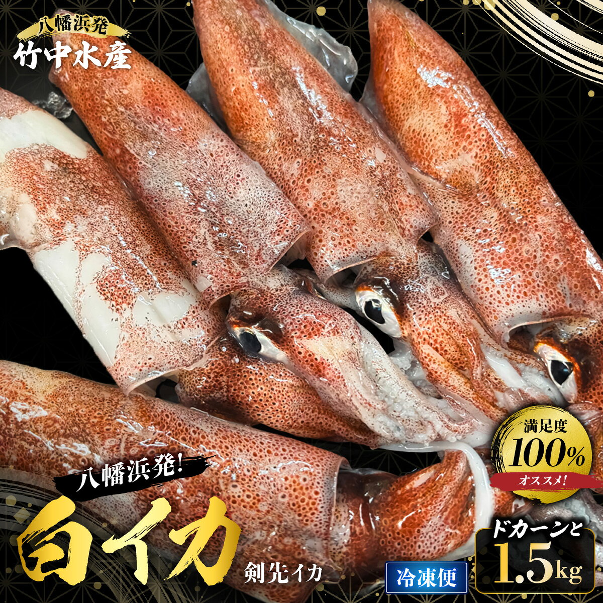 【ふるさと納税】【冷凍便】八幡浜発!「白イカ(剣先イカ)」ドカーンと1.5kg!【D22-217】_ いか イカ 白いか 剣先いか 海鮮 魚介 魚介類 刺身 送料無料 【配送不可地域：離島】【1043152】YWTM035