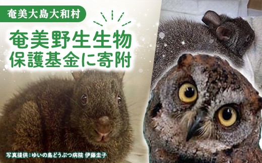 
E012 奄美野生生物保護基金に寄付
