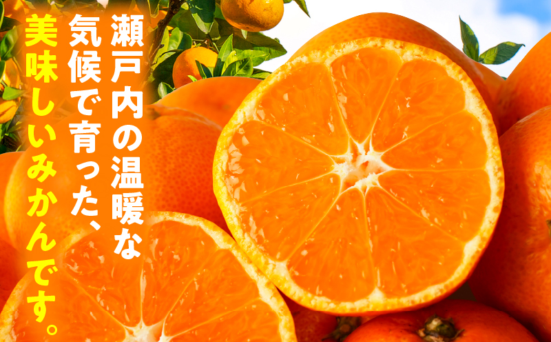 【先行受付】訳あり温州みかん約5kg（2L-2S） | みかん 温州みかん 果物 果実 訳あり 訳ありみかん 訳あり果物 訳ありフルーツ フルーツ 香川県 三木町 |_mk006-031