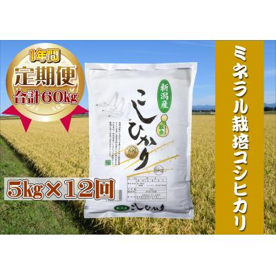 ふるさと納税 阿賀野市 【令和7年産】【12回定期便】ミネラル栽培こしひかり 5kg