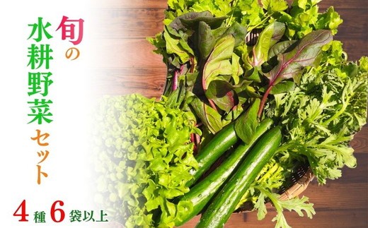 
                  野菜 詰合せ 亀岡産 旬の水耕野菜セット 4種6袋以上 | 新鮮 野菜 やさい ヤサイ 野菜詰合せ 野菜セット 詰め合わせ 詰合せ セット おいしい おすすめ 旬 水耕野菜 産地直送 冷蔵 季節の野菜 京都 亀岡市
                