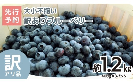 
                  【訳あり】大小不揃い 冷凍ブルーベリー 1.2kg 【2026年8月上旬頃より発送開始】 甘い 甘酸っぱい 冷凍フルーツ 果物 くだもの おやつ お取り寄せ お土産 贈り物 贈答 ギフト 国産 茨城 農園
                