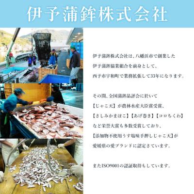 ふるさと納税 西予市 <伊予蒲鉾　無添加じゃこ天と無添加かまぼこセット>　天ぷら　練り物　おつまみ　魚介　郷土料理 |  | 02