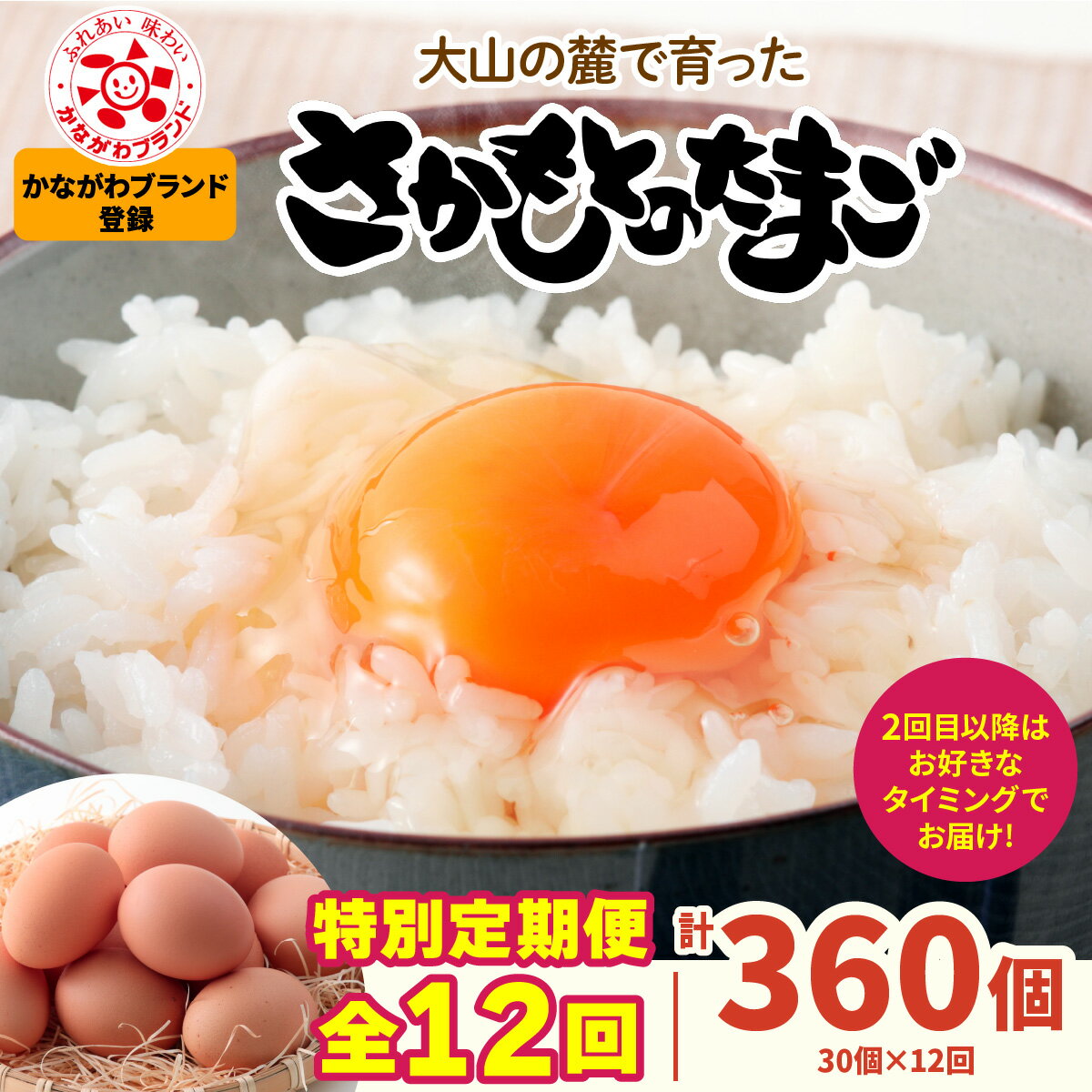 【ふるさと納税】[特別定期便全12回] たまご 2回目以降はお好きなタイミングでお届け！ 坂本養鶏 大山の麓で育ったさかもとのたまご 合計360個 (30個×12回)｜伊勢原市 赤玉卵 玉子 鶏卵 生卵 国産 タマゴ 新鮮 大山 鶏 ギフト 安心 安全 卵焼き 目玉焼き お菓子 [1026]
