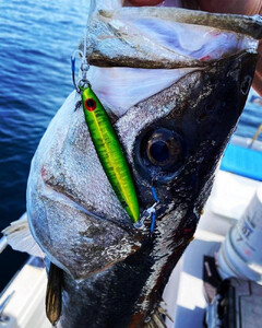 ルアー メタルジグ 5本セット 【 釣り具 釣具 ジグ 】