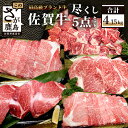 【ふるさと納税】最高級 佐賀牛尽くし 5点 セット 総計4.15kg 和牛 佐賀 牛肉 牛 肉 ヒレステーキ サーロイン すきやき しゃぶしゃぶ サイコロステーキ 佐賀産 佐賀県 鹿島市 冷凍 ご褒美 家族 ファミリー向け 大容量 満足 おすすめ バーベキュー 焼肉 送料無料 V-9