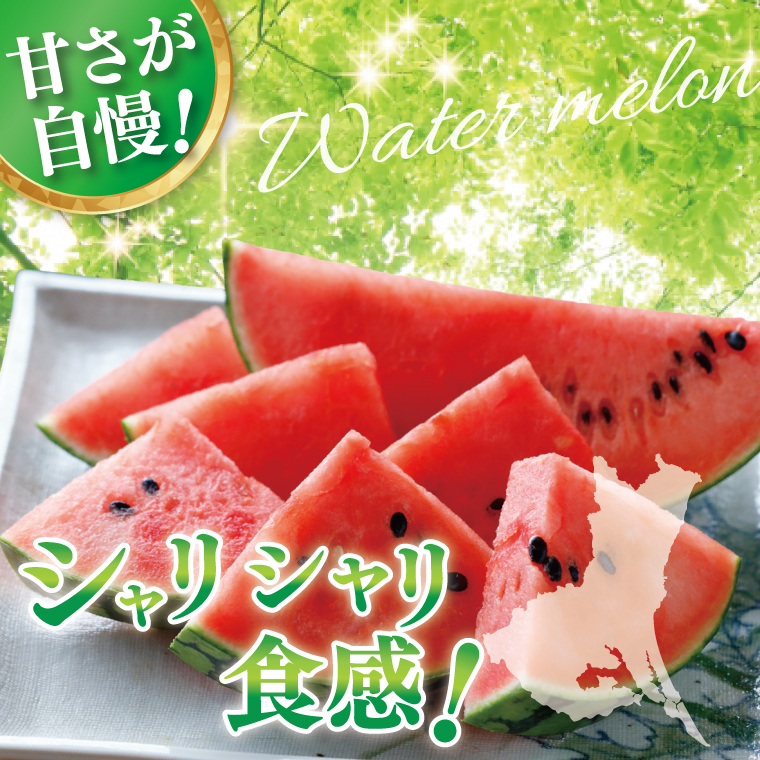 【先行予約】西瓜 7kg～9kg（1玉入）【山崎農園】（2025年5月下旬～7月中旬頃にお届け）【茨城県 阿見町 スイカ 1玉 すいか 西瓜 果物 くだもの フルーツ 国産 甘い 送料無料】（70-0