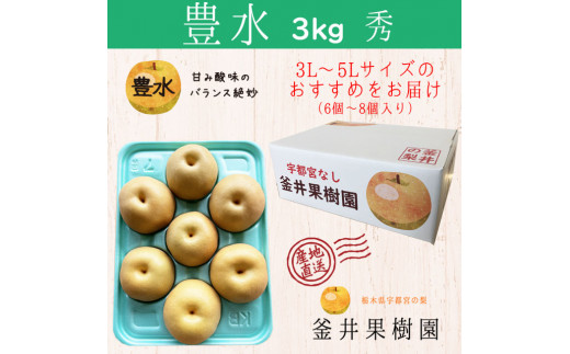 豊水 3kg 6～8玉 | 栃木県産 宇都宮市 梨 なし 豊水 フルーツ 果物 旬 産地直送 ※2026年8月～発送