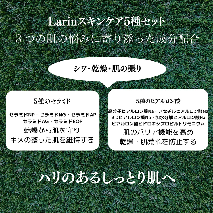 こだわりのスキンケア5種セット（リッチタイプ化粧水、乳液、クリーム、クレンジングミルク、洗顔）※2024年11月中旬より順次発送 ※離島への配送不可
