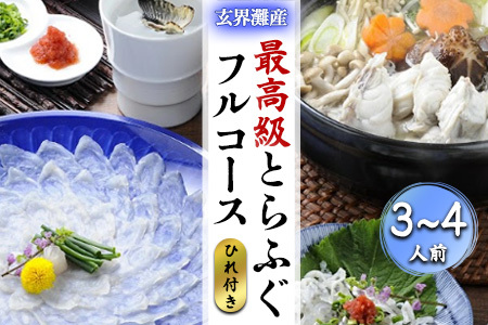 玄界灘産最高級とらふぐひれ付きフルコース（3～4人前） ( 魚 フグ 海鮮 鍋 新鮮 )【010-0001】