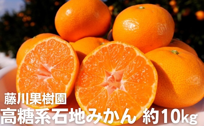 みかん 石地みかん 高糖度系 約10kg 香川県産 温州みかん 甘い フリーサイズ 2S～L 等級フリー 高糖系 フジカワ果樹園 柑橘 先行予約 果実 田口早生 早生みかん 由良早生 高糖度 ギフト 贈り物 手土産 贈答用 フルーツ 香川県 観音寺市