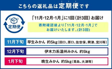 【年3回定期便】 大将さん家の温州みかん 各約5kg （合計：3回 （約15kg） ） 【11月・12月・1月配送】 ／ 早生みかん 伊木力系温州みかん 晩生みかん 柑橘 柑橘類 みかん 温州みかん 